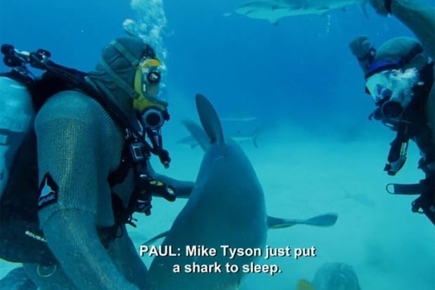 Майк Тайсон с акулами