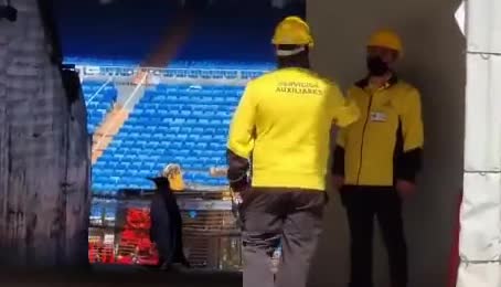 На стадионе «Реала» обнаружили пингвинов (видео)