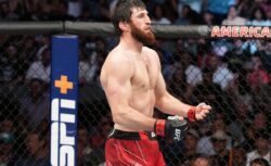 Бетсити оценил шансы Анкалаева стать чемпионом UFC до...